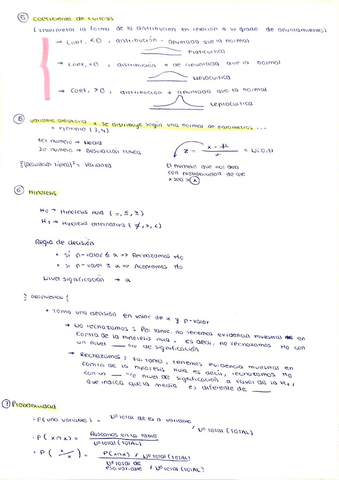 Lo-mas-importante-teoria-explicada.pdf