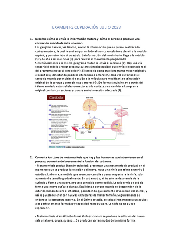 examen-Recuperacion-julio-2023.pdf
