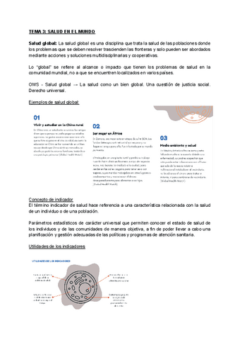 TEMA-3-salut.pdf