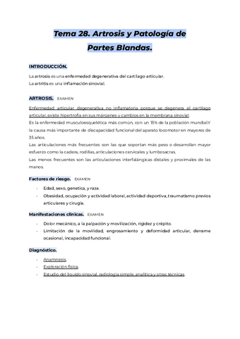 Tema-28.-AMQ-I.pdf