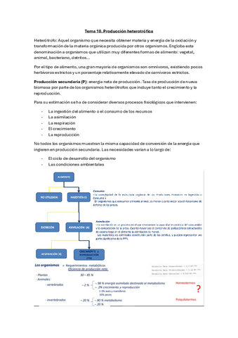 Tema-10.-Produccion-heterotrofica.pdf