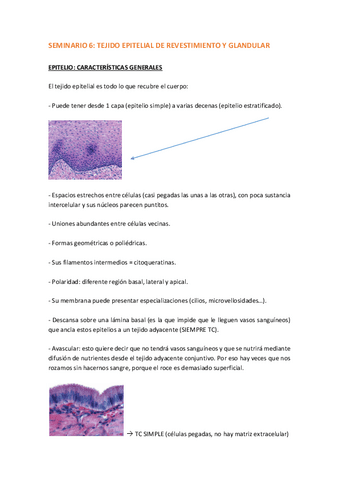 SEMINARIO-6-EPITELIAL.pdf