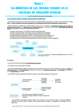 Tema-1.-Las-ciencias-sociales-en-el-curriculum-de-educacion-infantil.pdf