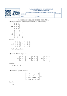 Enunciados examen.pdf
