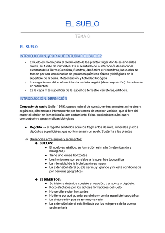 GEO-II-TEMA-6-EL-SUELO.pdf