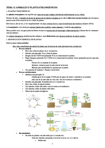 INGENIERIA-GENETICA-TEMA-12-ANIMALES-Y-PLANTAS-TRANSGENICOS.pdf
