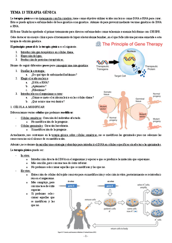 INGENIERIA-GENETICA-TEMA-13-TERAPIA-GENICA.pdf