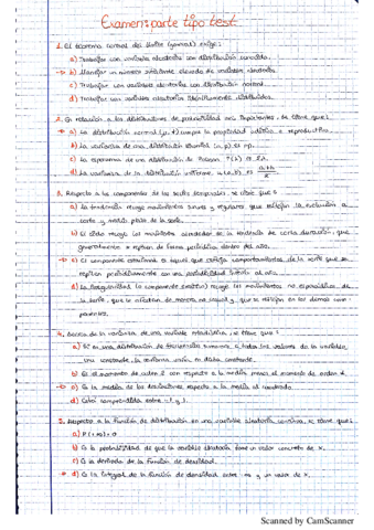 Examen tipo.pdf