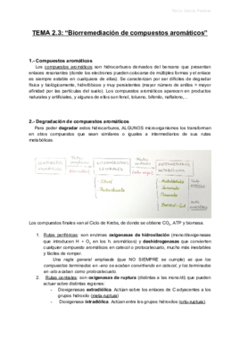B TEMA 2.3.pdf
