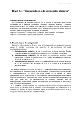 B TEMA 2.4.pdf