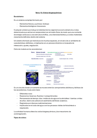 Tema-13.-Ciclos-biogeoquimicos.pdf