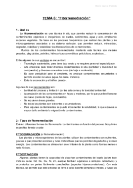 B TEMA 6.pdf