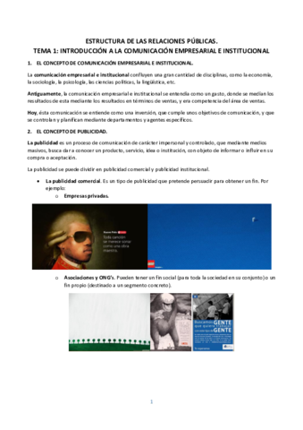 ESTRUCTURA DE LA PUBLICIDAD Y RRPP TODOS LOS TEMAS.pdf