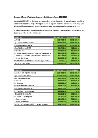 Ejercicio-2-Tema-2-Auditoria-Proceso-y-Emision-de-Opinion-2023-2024.pdf