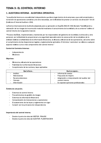 TEMA-3-Auditoria-y-Control-Interno.pdf