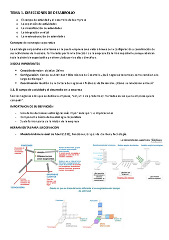 Tema-1-Direccion-Estrategica-II.pdf