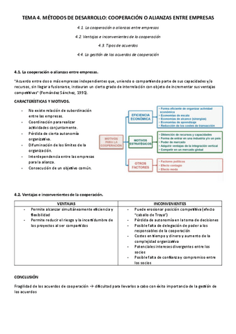 Tema-4-Direccion-Estrategica-II.pdf