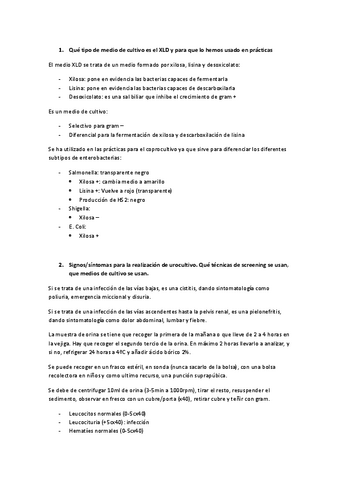Preguntas-resueltas-seminarios-p1.pdf