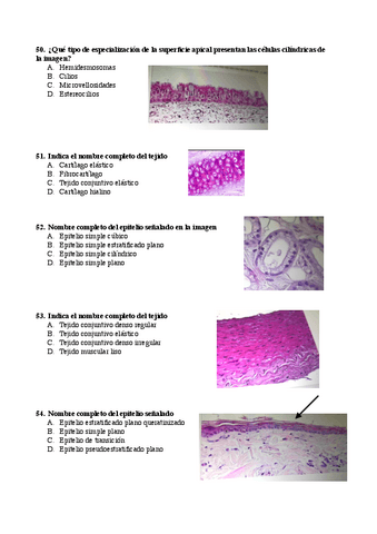 RECOPILACION-EXAMENES-HISTOLOGIA-3.pdf