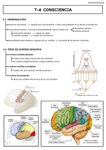 T-4-CONSCIENCIA.pdf