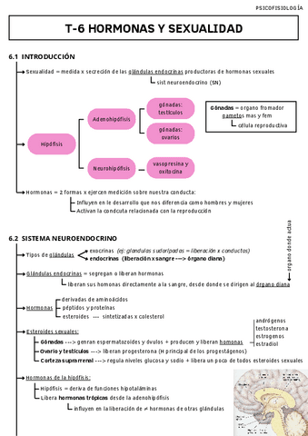 T-6-HORMONAS-Y-SEXUALIDAD.pdf