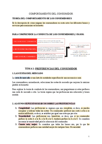 APUNTES-COMPORTAMIENTO-DEL-CONSUMIDOR-5.pdf