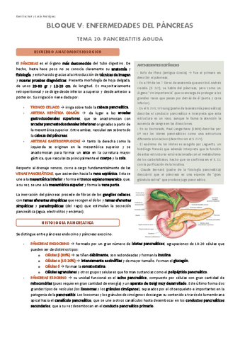 Enfermedades-del-pancreas.pdf