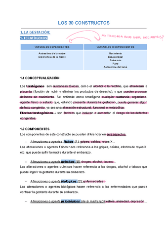 Copia-de-LOS-30-CONSTRUCTOS-Apuntes.pdf