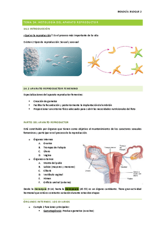 Tema-14-Histologia-aparato-reproductor-BIOLOGIA.pdf