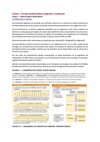UBU-TO-TEMA-2-FISIO-INTERACCIONES-MOLECULARES.pdf