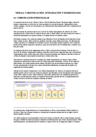 UBU-TO-TEMA-6-FISIO-Comunicacion-integracion-y-homeostasis.pdf