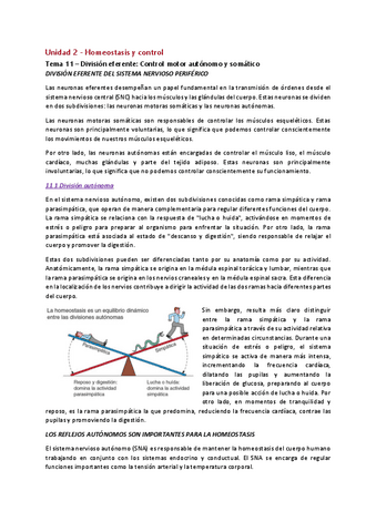UBU-TO-Tema-11-FISIO-Division-eferente-Control-motor-autonomo-y-somatic.pdf