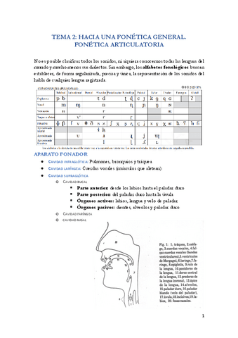 T2.-HACIA-UNA-FONETICA-GENERAL.-FONETICA-ARTICULATORIA.pdf