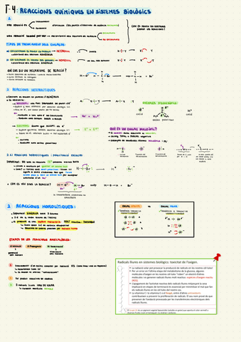 Tema-4-Reaccions-i-redox.pdf