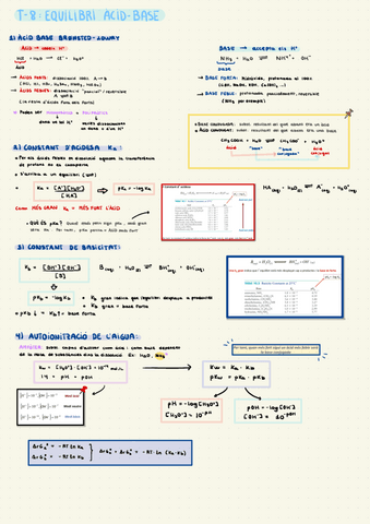 Tema-8-Equilibri-acid-base.pdf