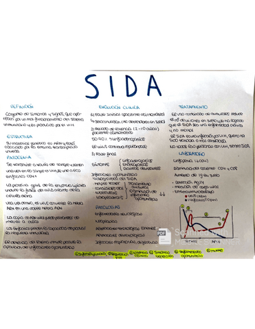 Esquema-del-SIDA.pdf