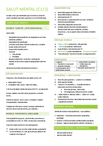TEORIA-Salud-mental.pdf