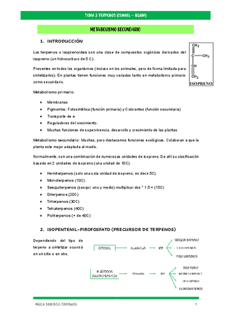 TEMA-3-TERPENOS-ISMAEL.pdf