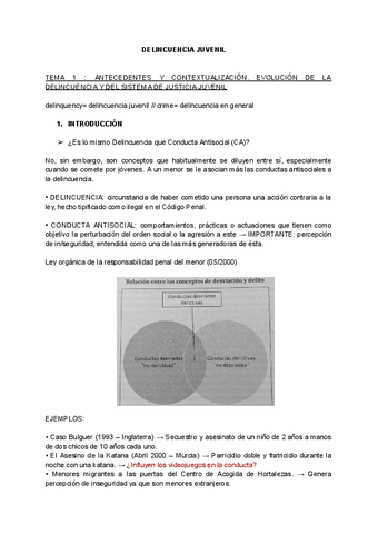 Delincuencia-juvenil.pdf
