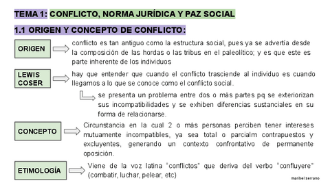 ESQUEMA-a-ordenadorTEMA-1-METODOS-ALTERNATIVOS.pdf