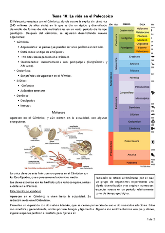 Tema-10.pdf