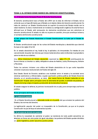 Todos-los-temas-de-Constitucion.docx.pdf