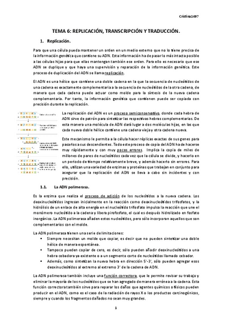 TEMA-6.-BIOLOGIA.pdf