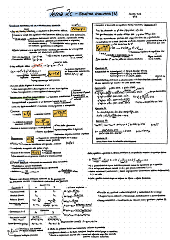 Tema-2c-Dinamica-temporal-de-la-variabilidad-genetica.pdf