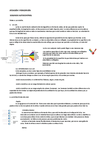 atencion-y-percepcion-tema4pdf.pdf