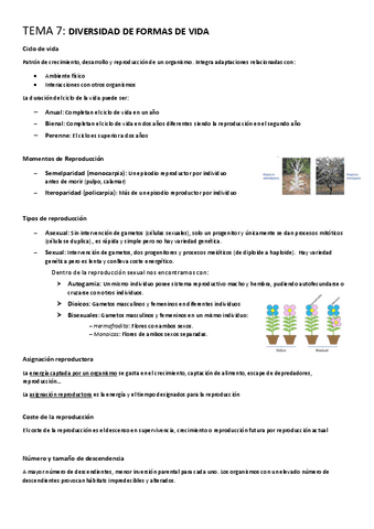 TEMA-7-Diversidad-de-formas-de-vida.pdf
