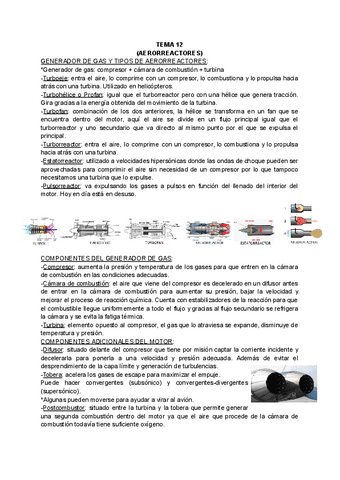 TEMA-12.pdf