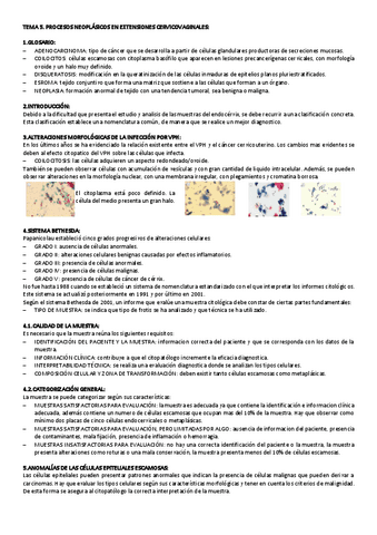 TEMA-5-CITO-GINE.pdf