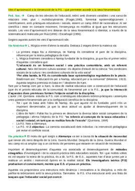 RESUM PEDAGOGIA SOCIAL.pdf