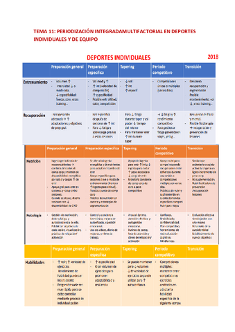 TEMA-11.pdf
